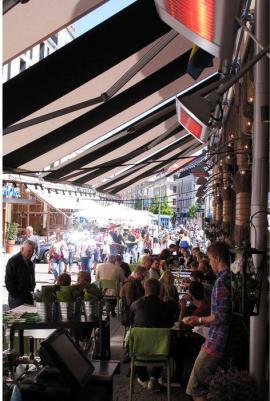 IHC-12 – фото 2