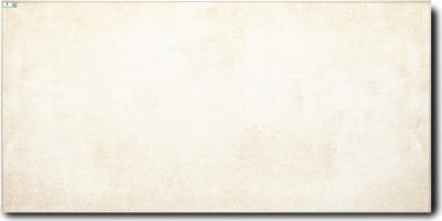 NT 650 – фото 8