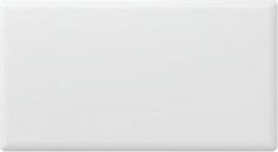 NTL4S 15 – фото 5