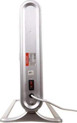 CH 1501 – фото 9