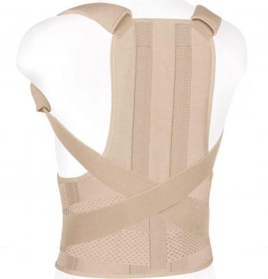 Корсет грудо-пояснично-крестцовый КГК-110, Размер XL1 – фото 9