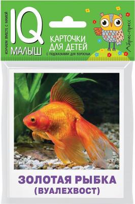Аквариумные рыбы: Карточки для детей с подсказками для взрослых / Малунова М.В
