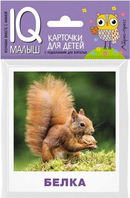 Ходюшина Н.П. Комплект двусторонних карточек. Кто живёт в лесу?. Айрис - Активный тренинг. Умный малыш