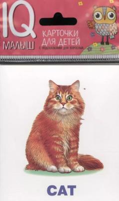 Умный малыш. English. Домашние питомцы. Набор карточек для детей – фото 2