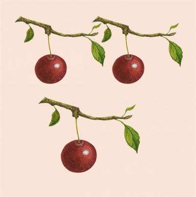 Счетный материал от 0 до 10. Ягоды – фото 3