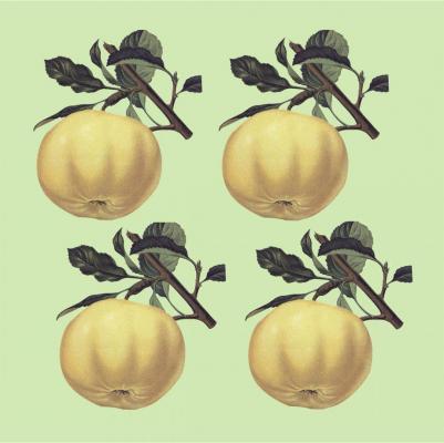 В помощь учителю. Счетный материал от 0 до 10. Яблоки – фото 6