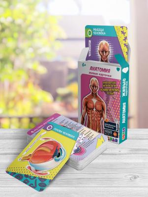 Живые карточки «Анатомия»