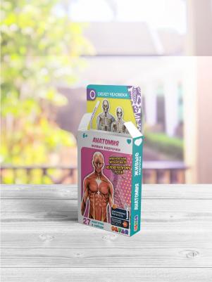 Живые карточки «Анатомия» – фото 1