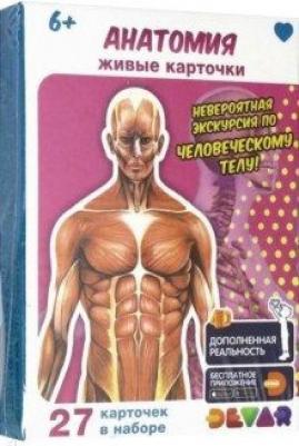 Живые карточки «Анатомия» – фото 2
