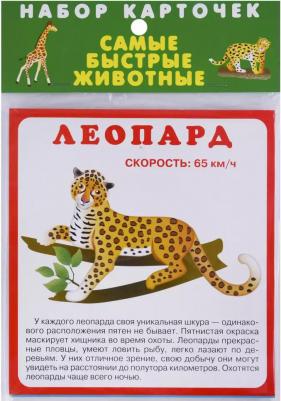 Набор карточек. Самые быстрые животные