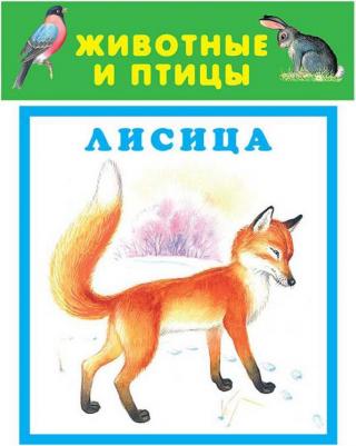 Животные и птицы. 20 карточек с картонным клапаном – фото 1