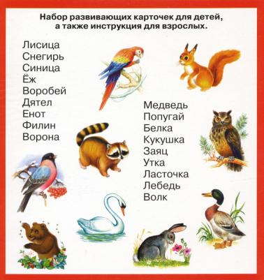 Животные и птицы. 20 карточек с картонным клапаном – фото 2