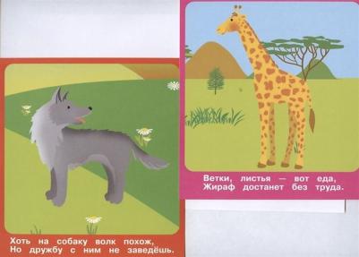 Животные в зоопарке (18 карточек) – фото 5