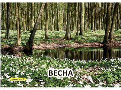 Карточки развивающие "Времена года", 21067 – фото 2