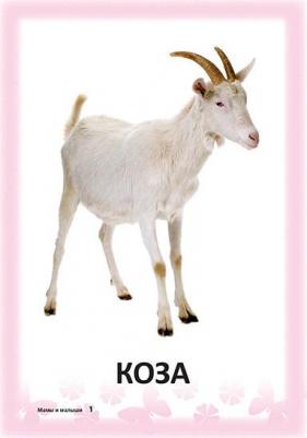 Мамы и малыши 0+. 34 карточки – фото 1