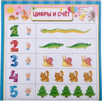 Все обучающие плакаты под одной обложкой. От азбуки до таблицы умножения Емельянова С. В – фото 3