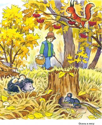 Кудряков Д. Осень в картинках. Наглядное пособие для педагогов, логопедов, воспитателей и родителей. A4 – фото 2