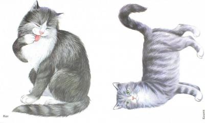 Кулакова Наталья Игоревна. Домашние животные в картинках. Наглядное пособие для педагогов, логопедов, воспитателей и родителей – фото 1