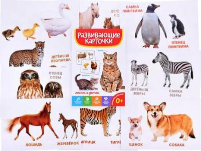 Развивающие карточки "Мамы и детки" – фото 1