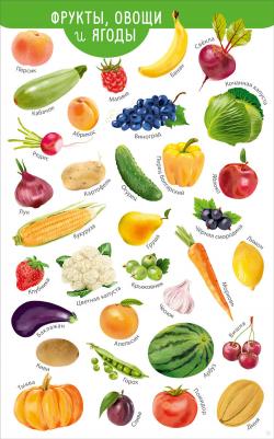 издательство Мои первые развивающие плакаты – фото 1