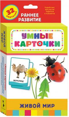 Живой мир (Развивающие карточки 0+) – фото 1