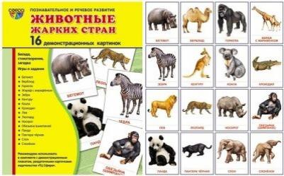 Цветкова Татьяна Владиславовна. Демонстрационные картинки "Животные жарких стран" – фото 6