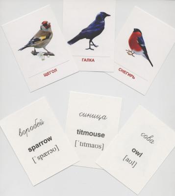 Демонстрационные картинки Супер. Зимующие птицы.16 раздаточных карточек с текстом – фото 3