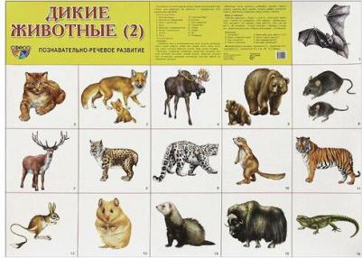 Демонстрационные Материалы Раздаточные карточки Дикие Животные-2 – фото 2