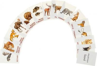 Демонстрационные Материалы Раздаточные карточки Дикие Животные-2 – фото 10