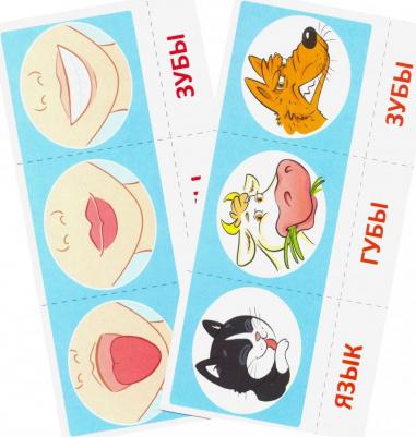 Набор карточек с рисунками. Артикуляционная гимнастика. Для детей 4 - 7 лет – фото 4