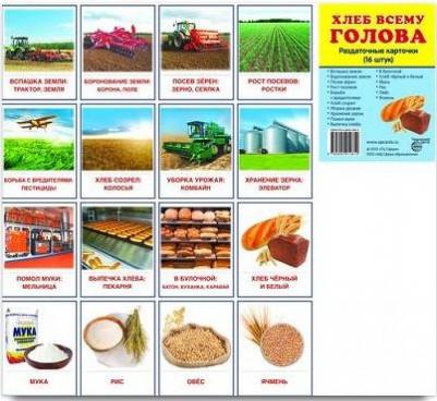 Обучающие карточки Хлеб Всему голова 5598 – фото 2