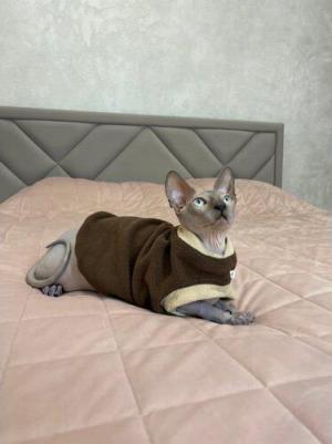 Флисовый жилет для кошек, коричнево-бежевый, S – фото 1