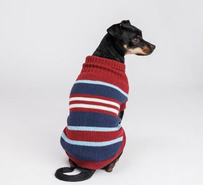 Свитер полосатый для кошек и собак, 2XL, бордовый – фото 1