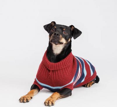 Свитер полосатый для кошек и собак, 2XL, бордовый