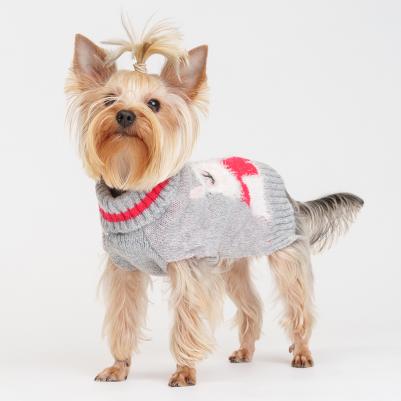 Свитер с ламой для кошек и собак, XS, серый