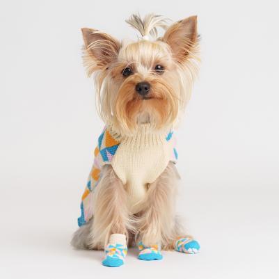 Свитер с ромбами для кошек и собак, S, бело-синий