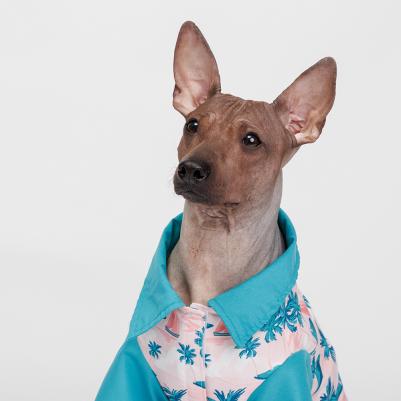 Футболка для кошек и собак, XL, голубая с принтом – фото 6