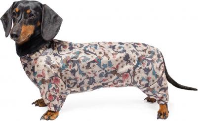 Комбинезон для собак Кроличья такса, унисекс, в ассортименте, 36, длина спины 36 см – фото 7