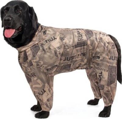 Комбинезон-дождевик для собак №22 Лабрадор, унисекс, длина спины 58 см – фото 2