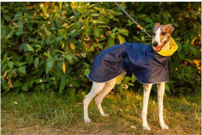 Дождевик для собак, Уиппет, синий, желтый, длина спины 48 см – фото 1