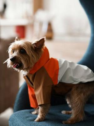 Дождевик/куртка, одежда для собак, Самоцвет, разноцветный, XXL, длина спинки - 50 см – фото 3