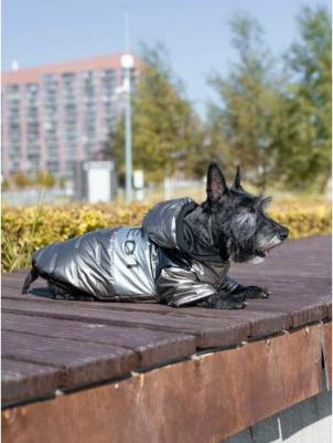 Куртка-жилет для собак Gold р S золотая – фото 2