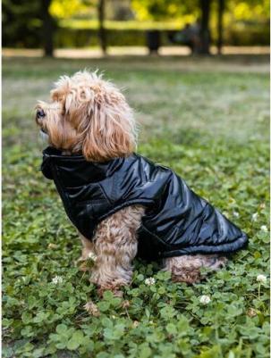 Куртка-жилет для собак Металлик, черная, S, длина спинки 30см – фото 1