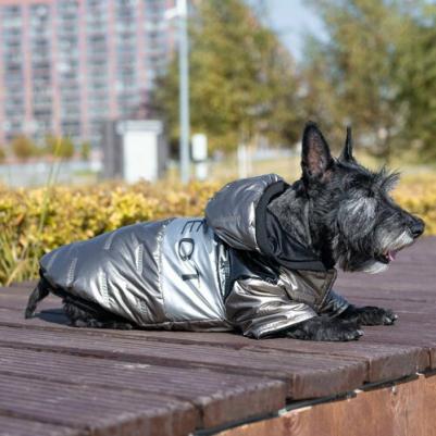 Куртка/жилет для собак, одежда для собак, Gold, золотой, M, длина спинки - 35 см