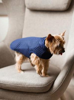 Куртка/жилет, одежда для собак, Сияние, синий, XXL, длина спинки - 50 см – фото 1