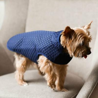 Куртка/жилет, одежда для собак, Сияние, синий, XXL, длина спинки - 50 см