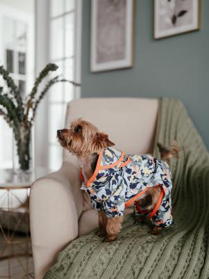 Ветровка для собак, Фрогги, разноцветный, L – фото 4