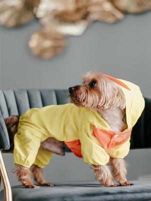 Ветровка для собак, Утиные истории, желтый, XL – фото 5
