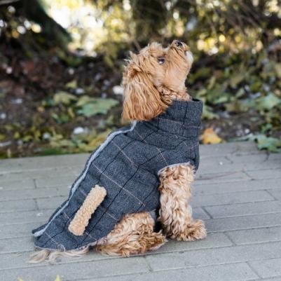 Жилетка для собак, Classic, черный, S – фото 4