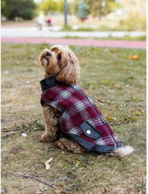 Жилетка для собак Rock, красная, XL, длина спинки 45см – фото 2